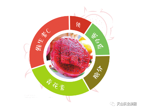 GA黄金甲事业集团